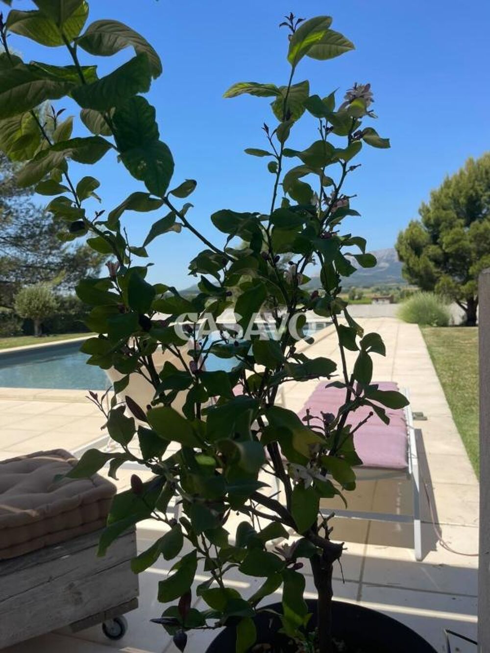� vendre  Maison Pourri�res (83910)