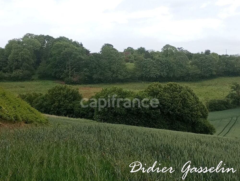 Vente Terrain Terrain à vendre  BRUNELLES (28) Brunelles
