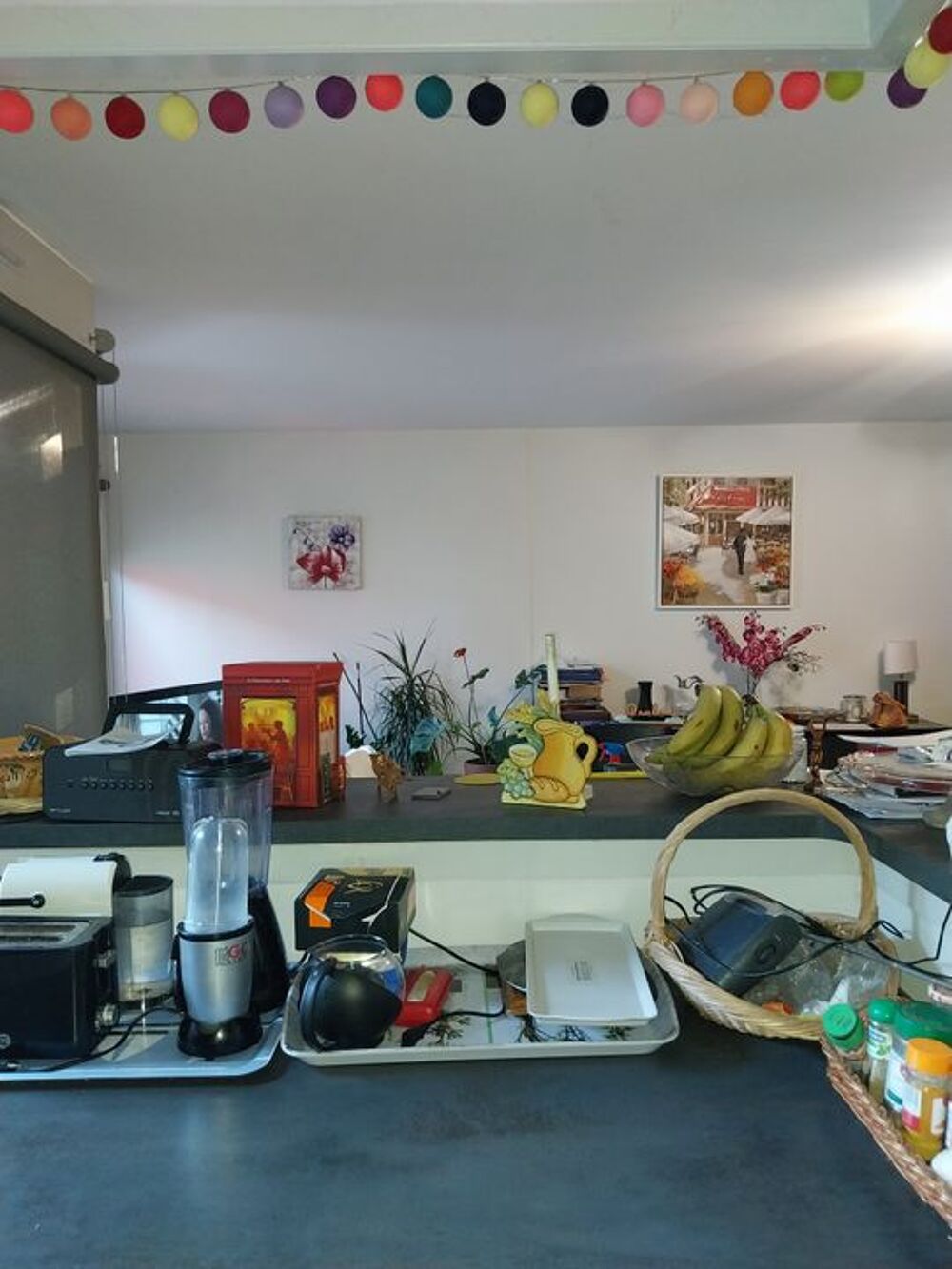 Location Appartement Chambre de 15m2 à louer sur Oullins Oullins