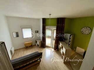  Appartement à louer 1 pièce 30 m²