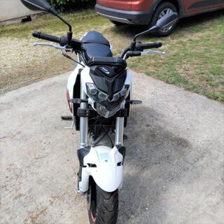 BENELLI 2023 occasion 16500 Lessac