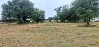  Terrain à vendre 1010 m²