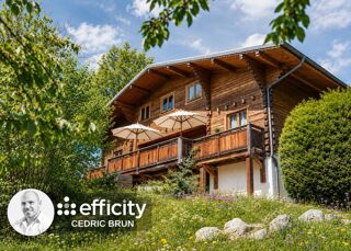  Chalet à vendre 7 pièces 251 m²