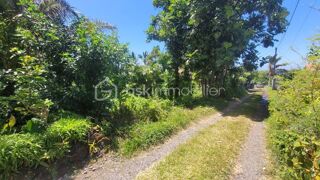 Vente Terrain Vente Terrain Constructible de 778 m² Le Baril - Saint-Philippe Saint philippe