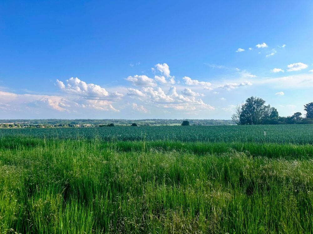 Vente Terrain EXCLUSIVITÉ - Terrain à bâtir – 840 m² Bazus