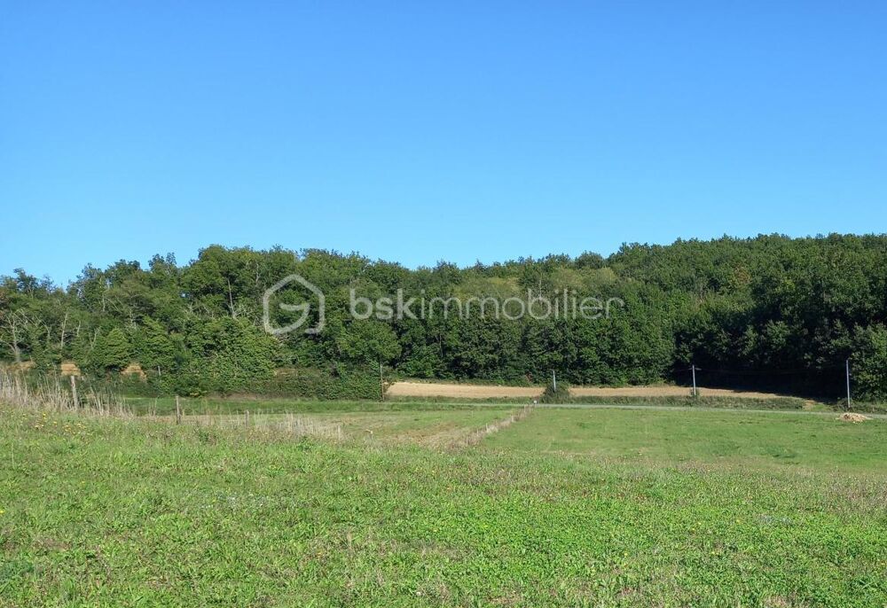 Vente Terrain Terrain à bâtir 1800 m2 viabilisé Negrepelisse