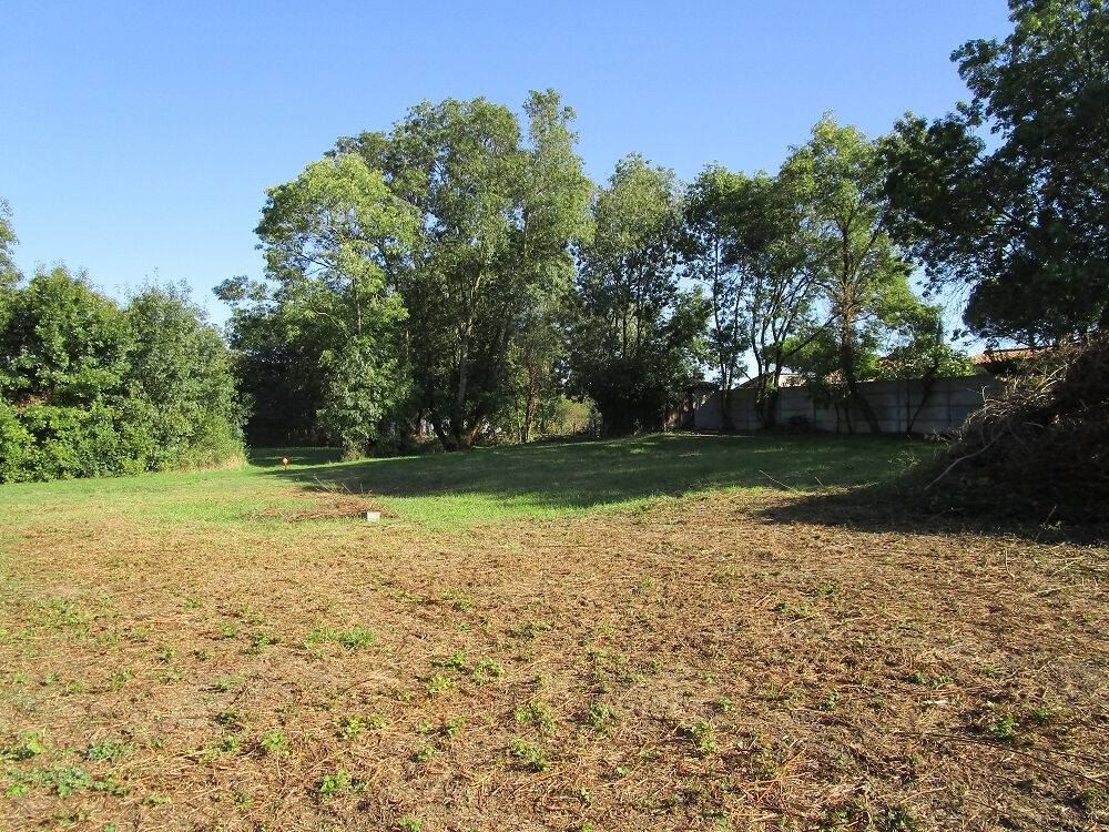 Vente Terrain Terrain La Jonchere 495 m2 La jonchere