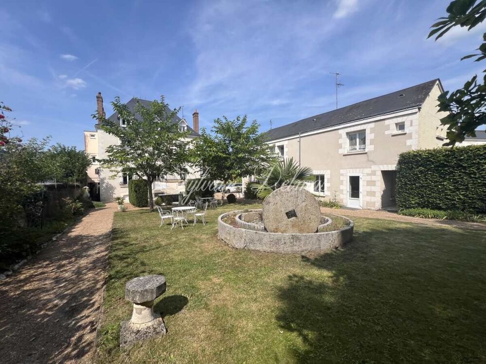à vendre  Propriété/château Amboise (37400)