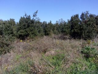  Terrain � vendre 2300 m�