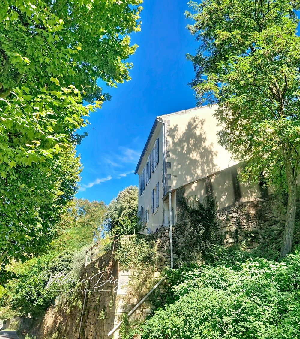 Vente Maison VIAGER OCCUPÉ – MÉNERBES – MAISON DE CARACTÈRE AVEC VUE SUR LE LUBERON Menerbes