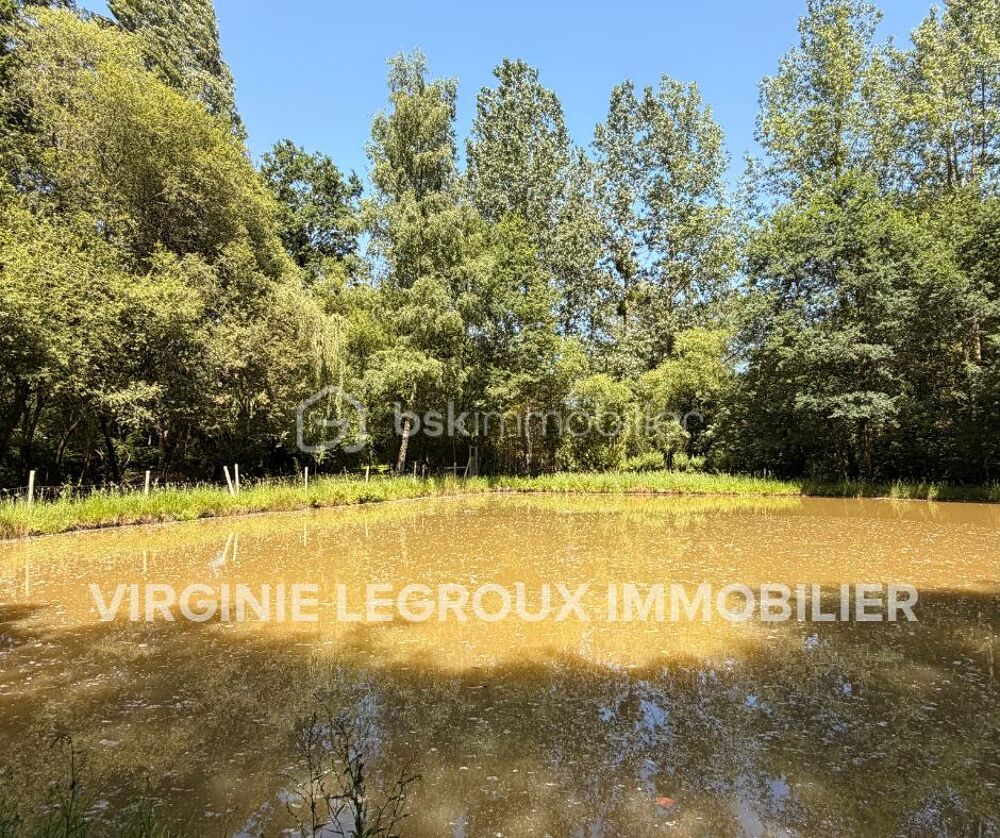 Vente Terrain Terrain de loisirs de 15.000m2 avec pièce d'eau et verger Port brillet