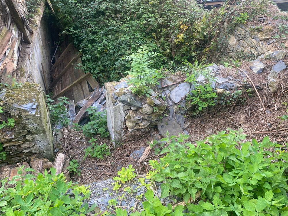 Vente Remise/Grange Dpt Hautes Pyrénées (65), à vendre LES ANGLES maison P1 de 50 m² - Terrain de 609,00 m² - Plain pied Lourdes