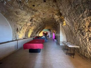  Propri�t�/ch�teau � vendre 14 pi�ces 558 m�