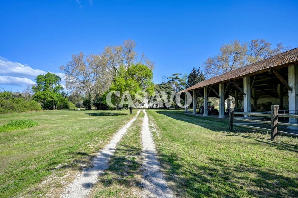 Vente Propriété/Château Vente Maison 12 pièces de 562m² - 13200 Arles Arles