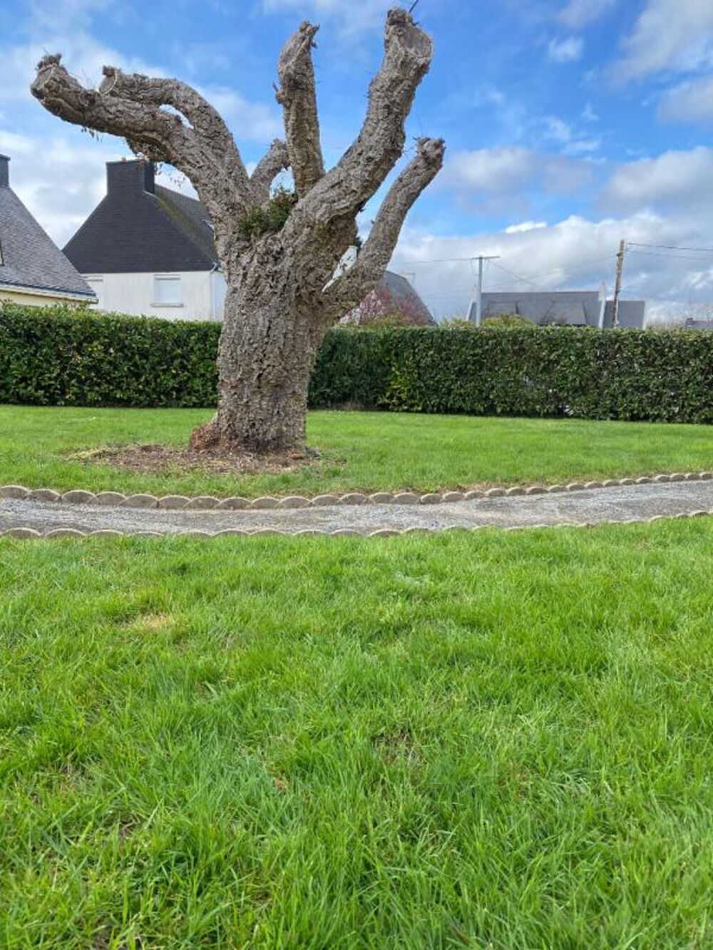 Vente Terrain Terrain Sene 281 m2 bourg Sene
