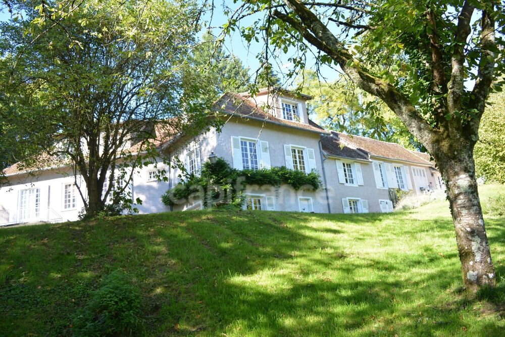 Propriete à vendre 17 pièces SAINT SAULGE (58) gite, chambres d'hotes ,maison de repos