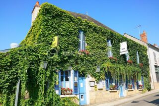  Hôtel Particulier à vendre 10 pièces 394 m² Sancerre