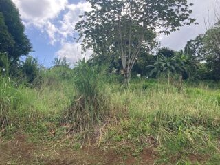  Terrain � vendre 1424 m�