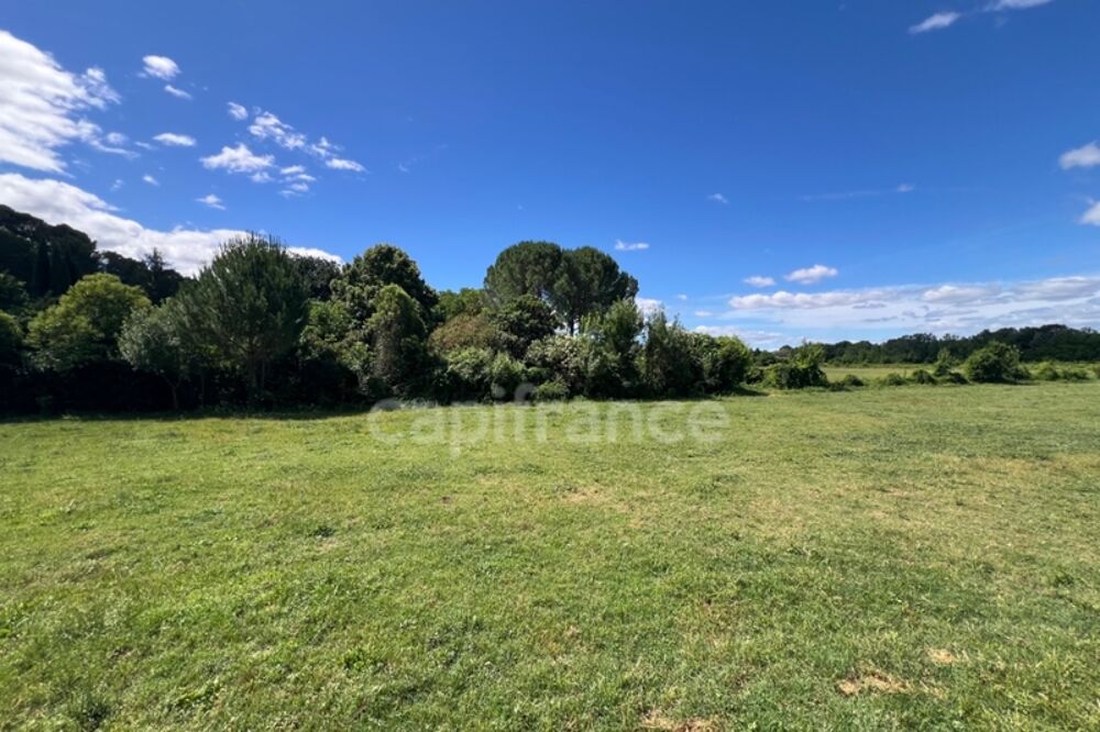 Vente Maison Maison de caractère 202 m² - 5 chambres - Terrain 2750 m² Sommieres