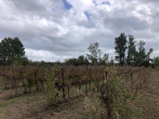  Terrain  vendre 18960 m