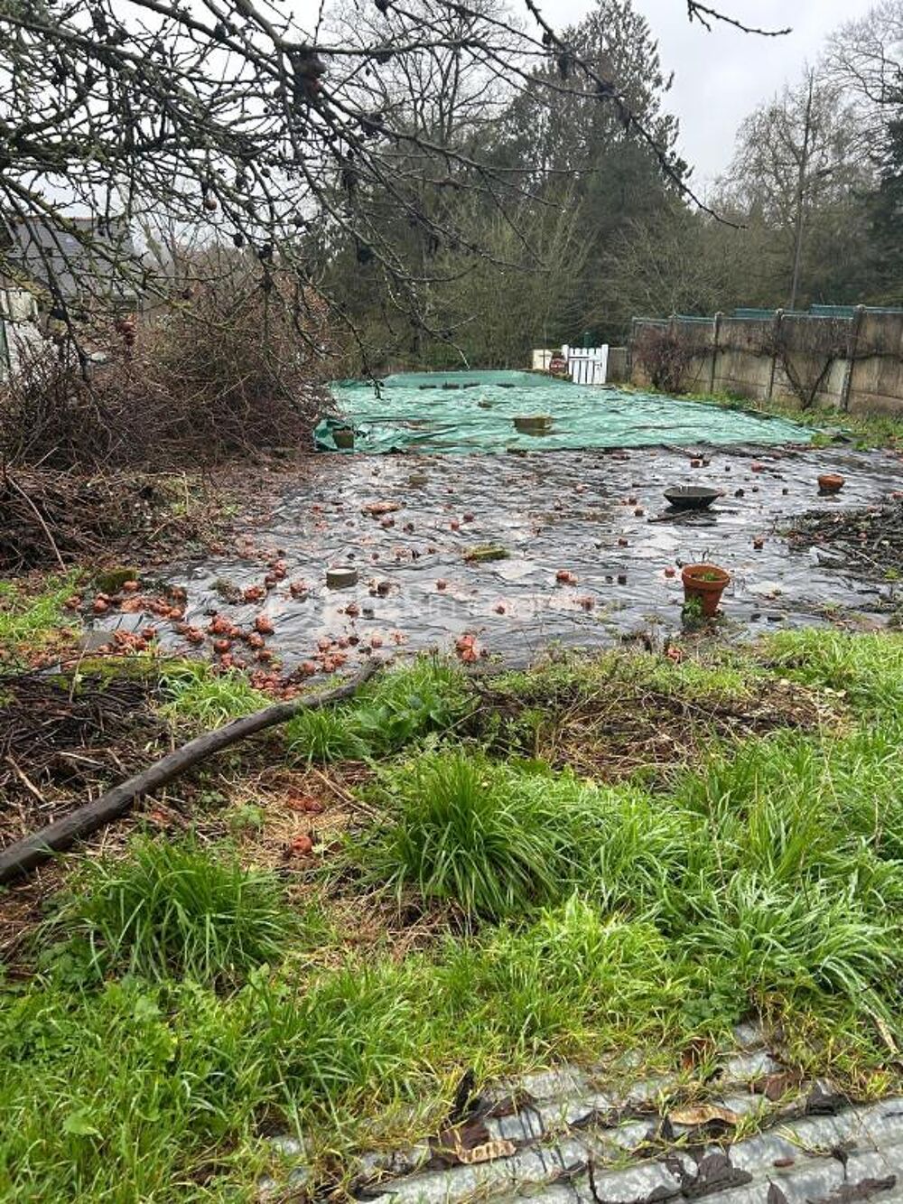 Vente Terrain Terrain constructible hors lotissement proche du centre Ernee