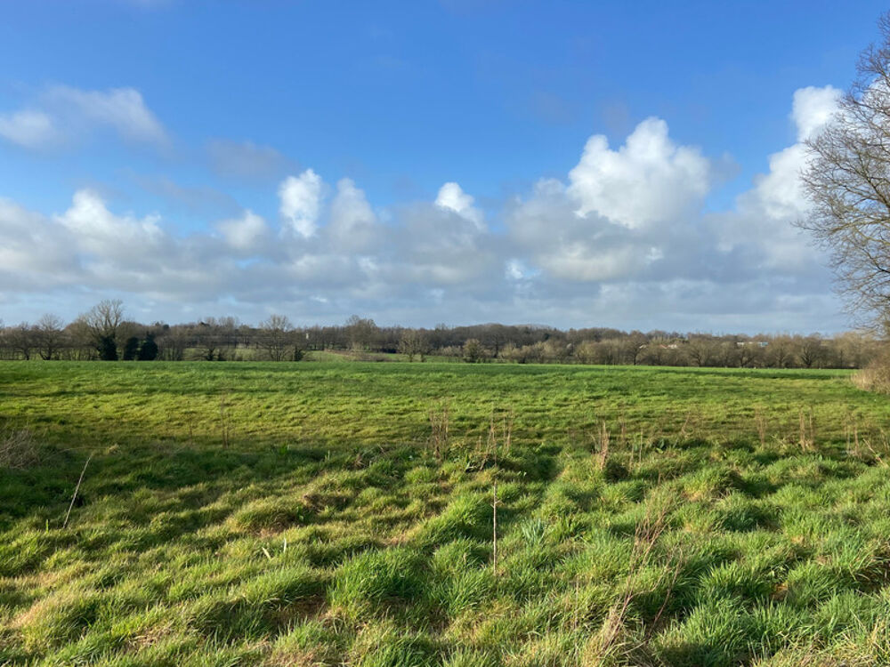 Vente Ferme LA CHAPELLE ACHARD 85150 AVEC VUE IMPRENABLE ADORABLE FERMETTE 3 CHAMBRES A RAFRAICHIR AVEC GRANGE La chapelle achard