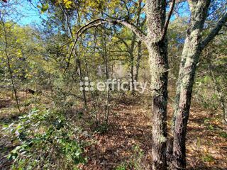  Terrain � vendre 1 pi�ce 2567 m�