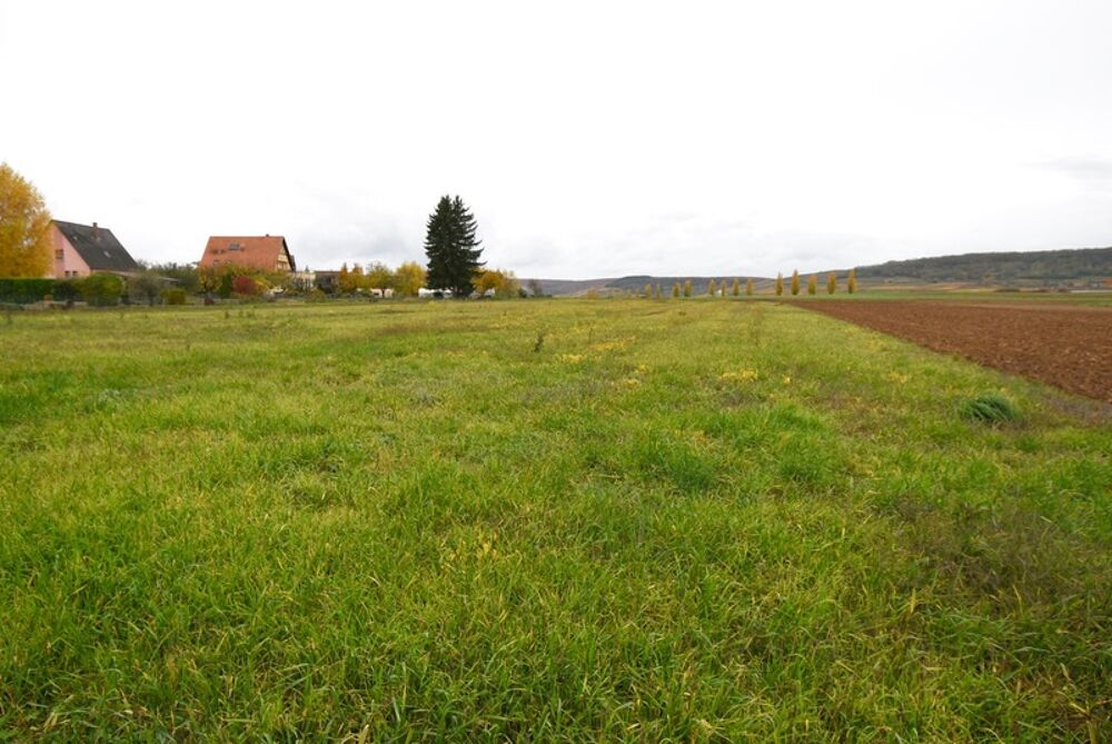Vente Terrain Terrain à vendre  proche de MARLENHEIM (67) : Terrain Viabilisé : 582 m2 -  Lotissement Strengenfeld - Libre architecte et const Marlenheim