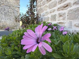  Maison � vendre 6 pi�ces 134 m�