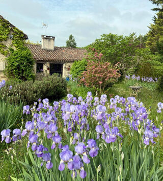  Maison � vendre 7 pi�ces 237 m�