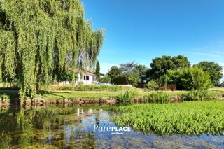  Propri�t�/ch�teau � vendre 5 pi�ces 384 m�