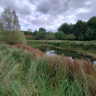  Terrain  vendre 28600 m