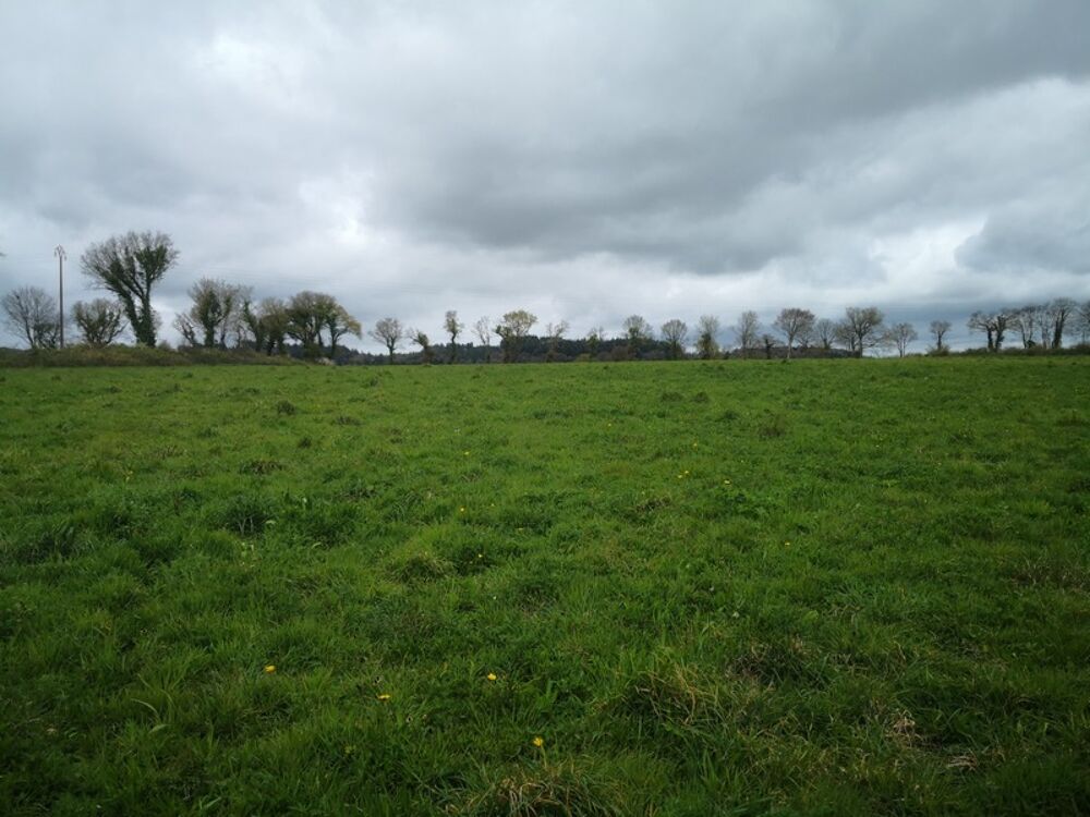 Proche du Château et de lÉtang de Corlay , ensemble en pierre de 200 m² sur 3.35 hectares