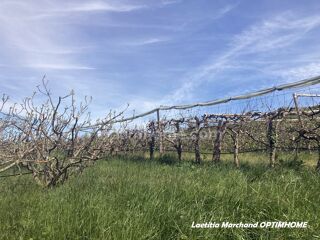  Terrain � vendre 40589 m�