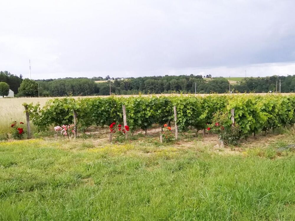  vendre  Maison Saint-Aignan (41110)