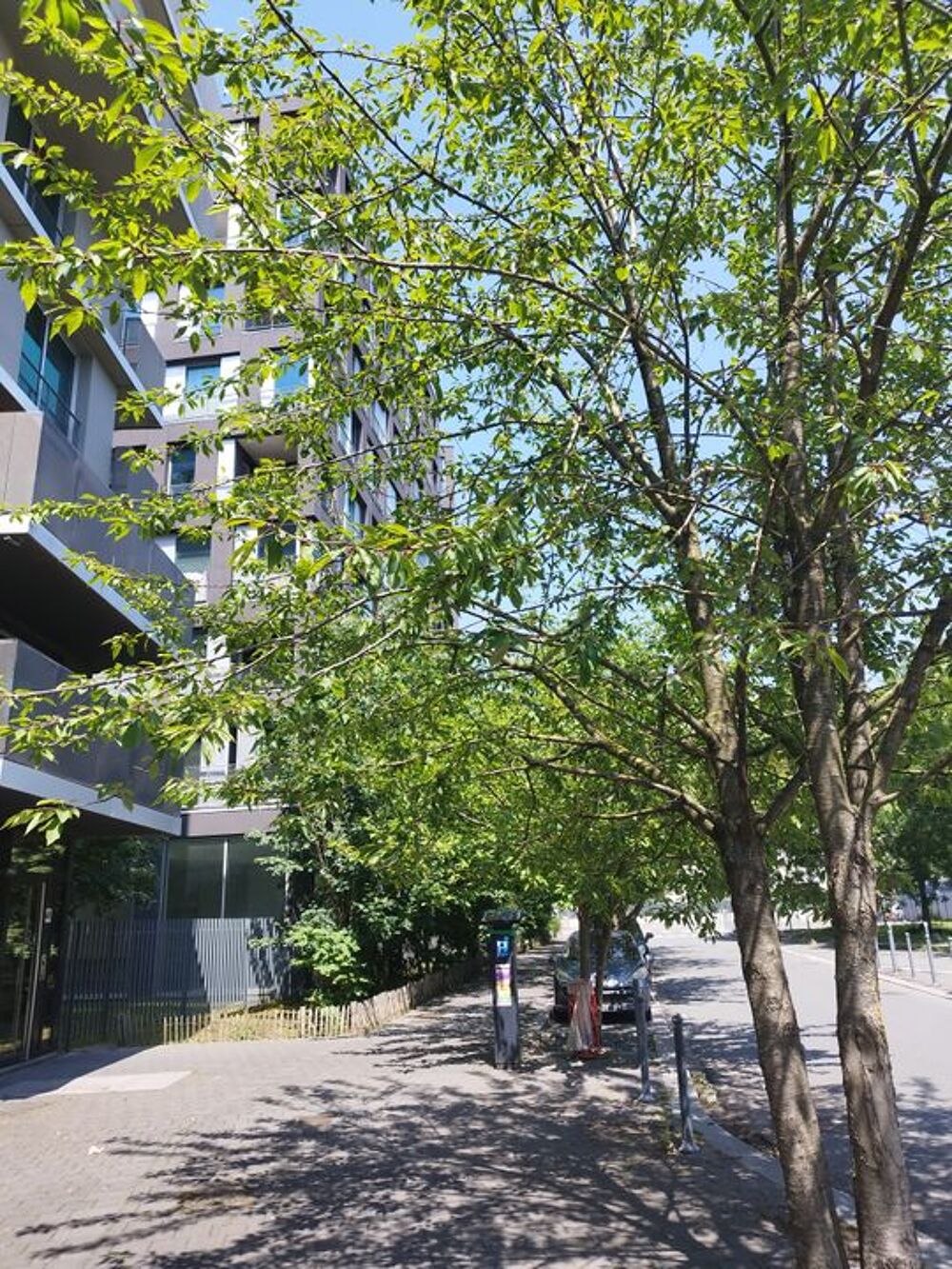 Location Appartement Appartement de 46m2 à louer sur Lille Lille
