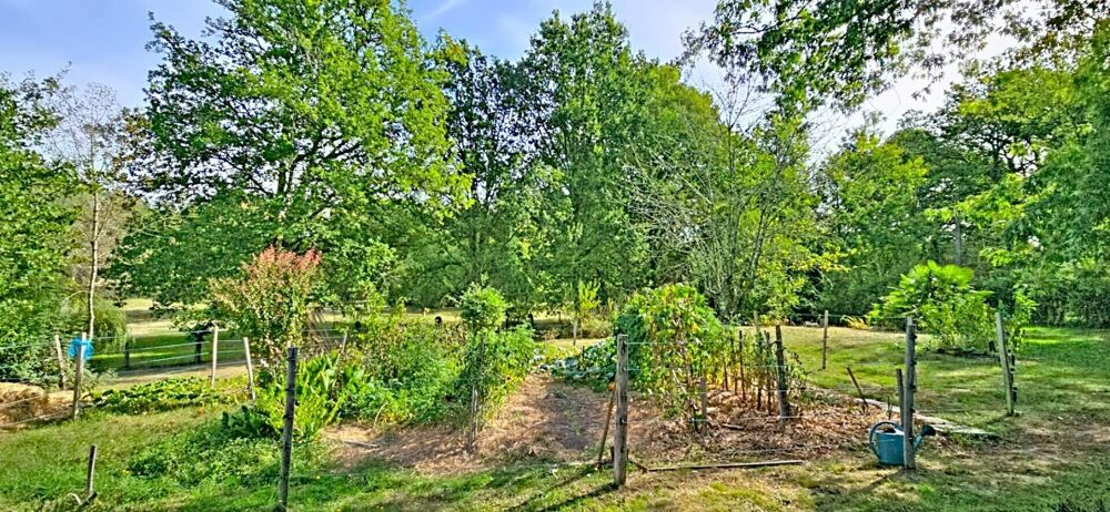 Vente Maison Propriété en pierre de 280 m², sur un beau terrain de 1.3ha Saint etienne de puycorbier