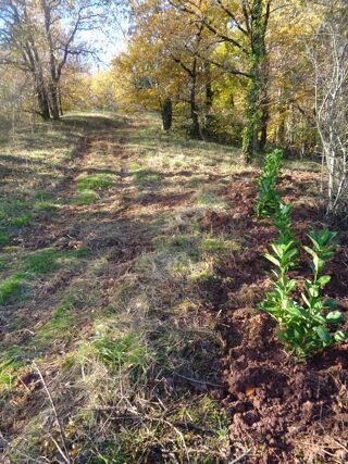  Terrain à vendre 1350 m²