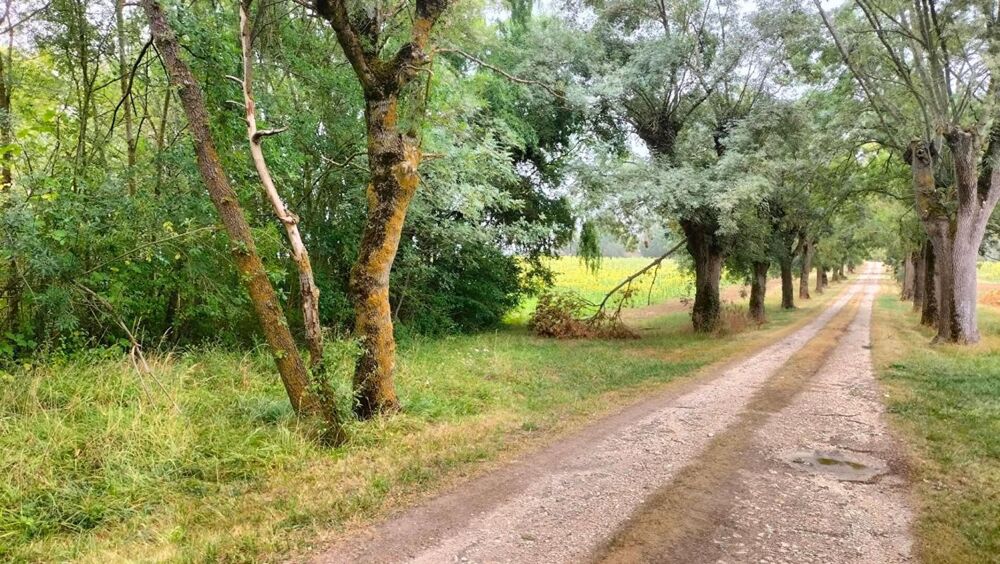 Vente Terrain Terres agricoles 40 Ha (32120 ) Puycasquier Puycasquier