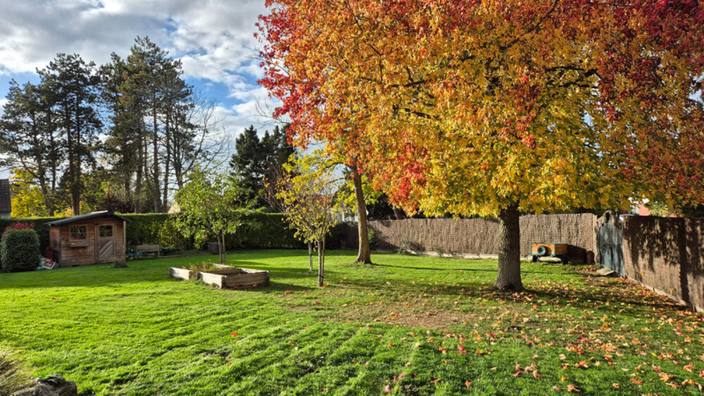  vendre  Maison Wervicq-Sud (59117)