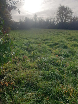  Maison � vendre 3 pi�ces 215 m�