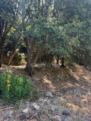  Terrain � vendre 3380 m�