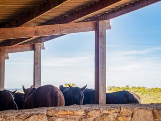  Propri�t�/ch�teau � vendre 7 pi�ces 400 m�