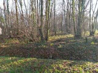  Terrain � vendre 2370 m�