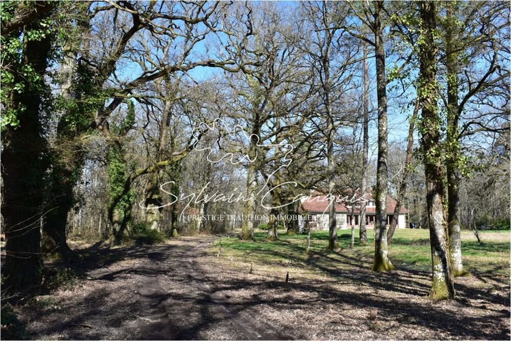 � vendre  Propri�t�/ch�teau Lamotte-Beuvron (41600)