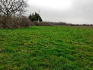  Terrain à vendre 23055 m²