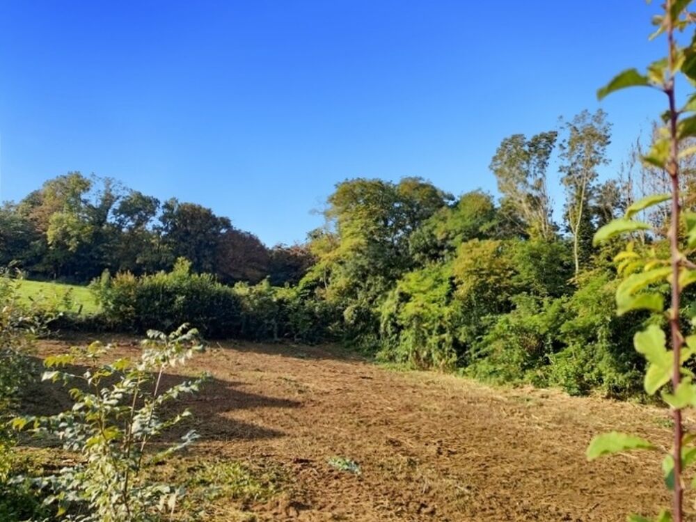 Vente Terrain Dpt Meurthe et Moselle (54),  vendre FROUARD terrain magnifique Frouard