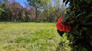  Maison � vendre 5 pi�ces 123 m�