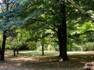  Maison � vendre 7 pi�ces 175 m�