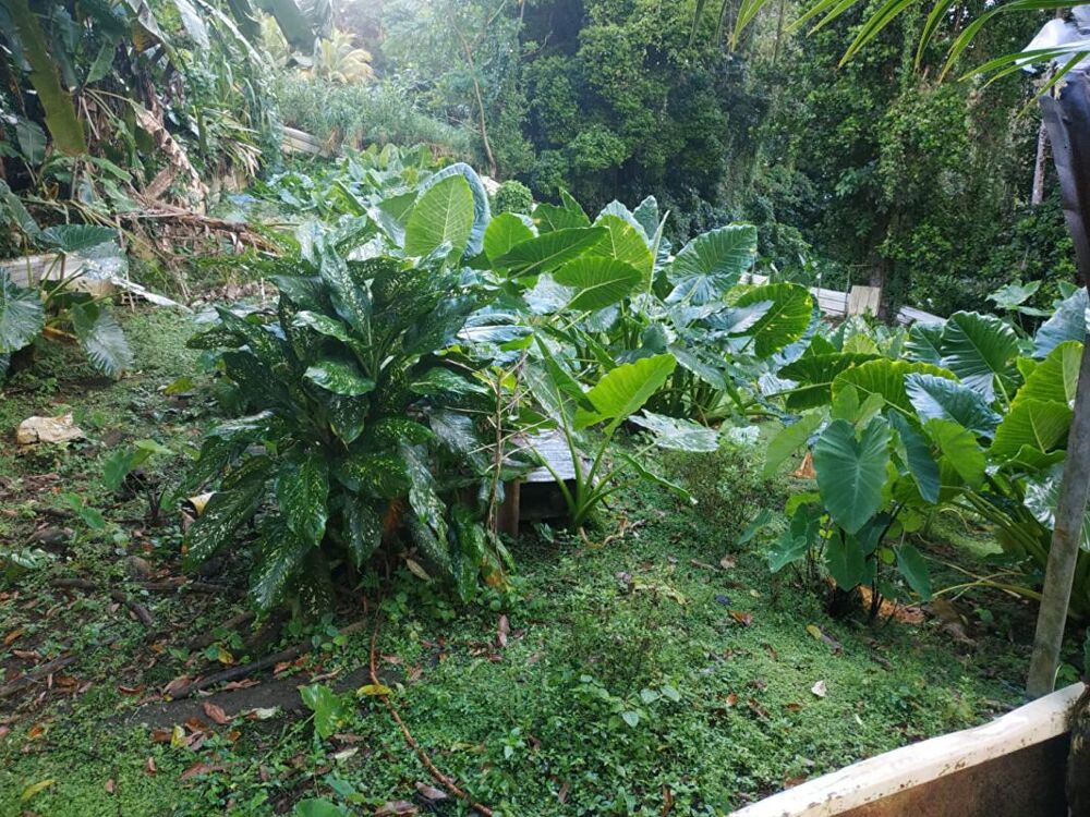 Vente Terrain Terrain  500 m2 a vendre au gros -morne Gros morne